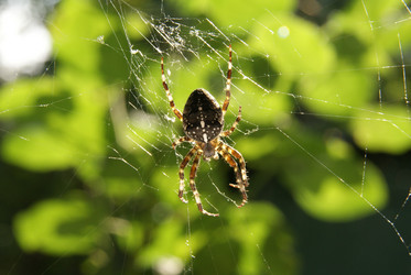 Similar image 244101