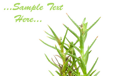 Similar image 244105