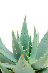 Similar image 244106