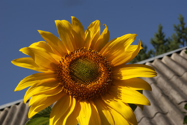 Similar image 244109