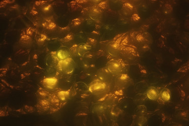 Similar image 244112