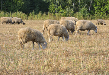 Similar image 244118