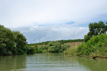 Similar image 244131