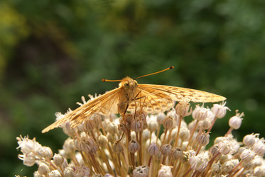 Similar image 244154