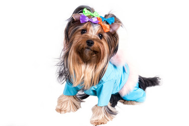 Similar image 244247