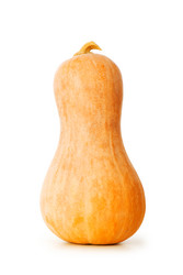 Similar image 244260