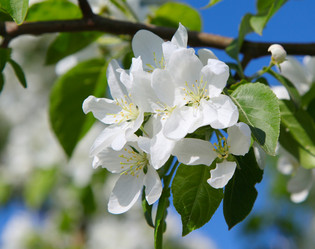 Similar image 244278