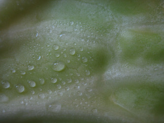 Similar image 244317