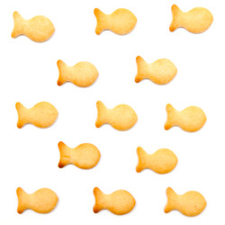 Similar image 244338