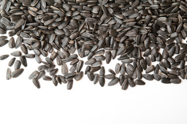 Similar image 244340