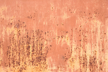 Similar image 244359