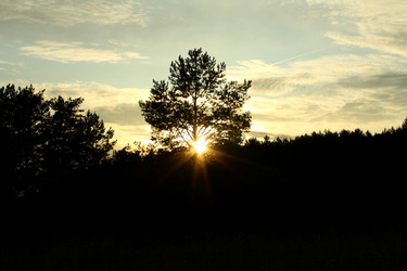 Similar image 244389