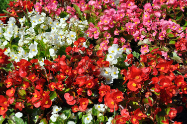 Similar image 244390