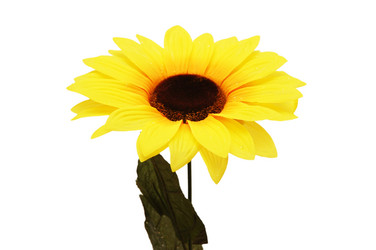 Similar image 244403