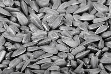 Similar image 244414