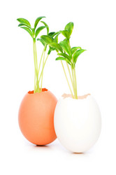 Similar image 244427