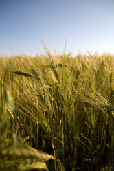 Similar image 244434