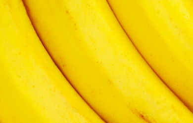 Similar image 244437