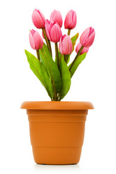 Similar image 244442