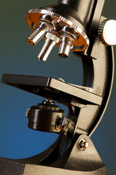 Similar image 244444