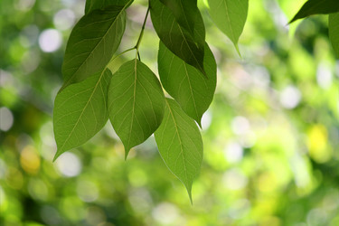 Similar image 244458