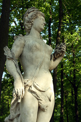 Similar image 244480