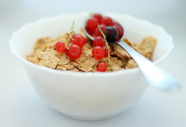 Similar image 244492