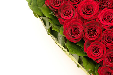 Similar image 244497