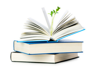 Similar image 244504