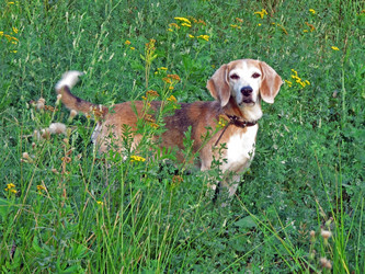 Similar image 244527