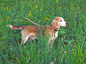 Similar image 244540