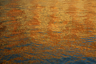 Similar image 244545