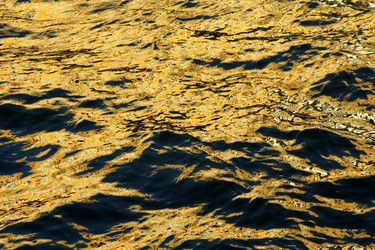 Similar image 244547