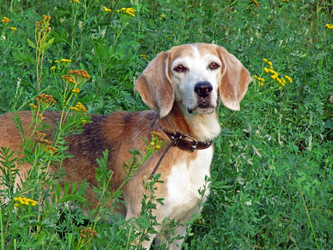 Similar image 244548