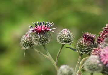 Similar image 244550