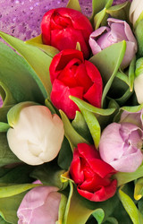 Similar image 244556