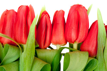 Similar image 244558