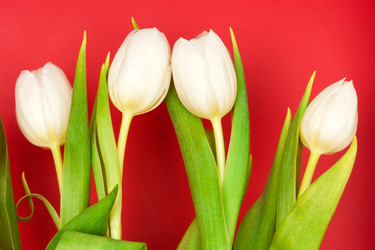 Similar image 244566