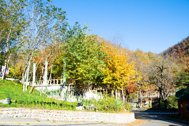 Similar image 244570