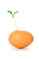 Similar image 244572