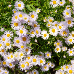 Similar image 244573