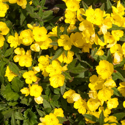 Similar image 244578