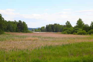 Similar image 244619