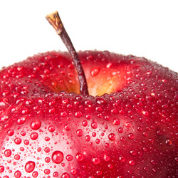 Similar image 244626