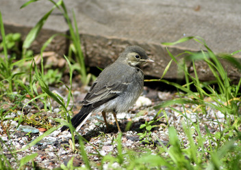 Similar image 244639