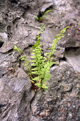 Similar image 244677