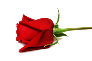 Similar image 244680