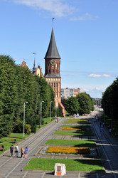 Similar image 244730