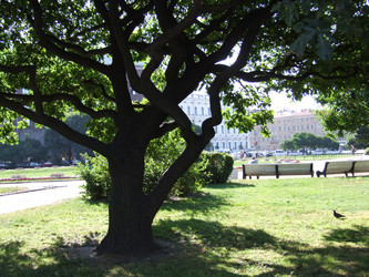 Similar image 244732