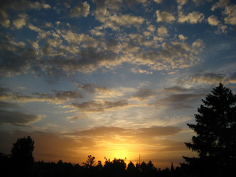 Similar image 244768